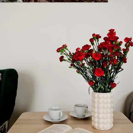 Apartamento Kaszubska Bryza In *